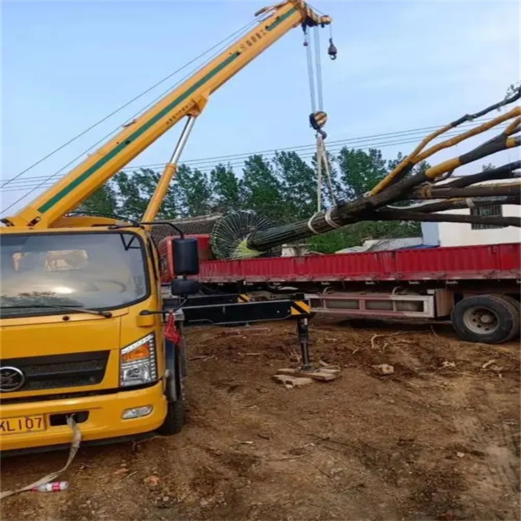 西塞山100吨吊车租赁费用怎么算？3大关键因素+省钱技巧全解析